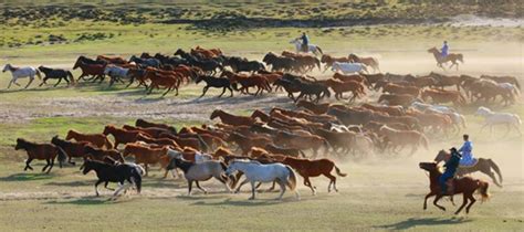 蒙古的游牧文化会消失吗？