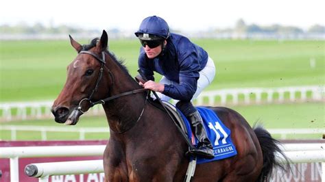 Aidan O'Brien pays tribute to Santa Barbara following death of star ...