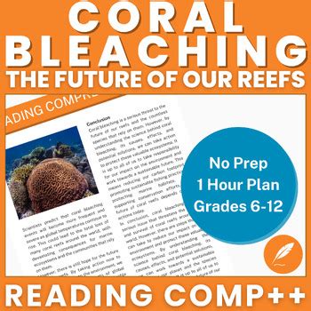 Coral Bleaching: The Future of Our Reefs – NO Prep – Earth Science Sub Plan