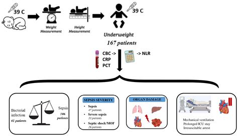 The Neutrophil-to-Lymphocyte Ratio (NLR) Can Predict Sepsis’s Presence and Severity in ...