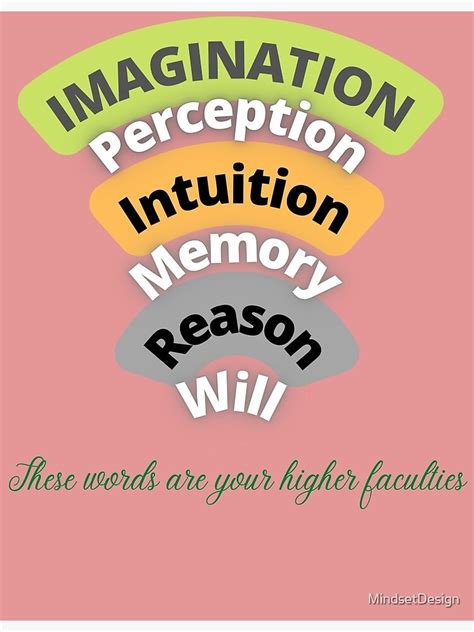 Intuition 的图像结果