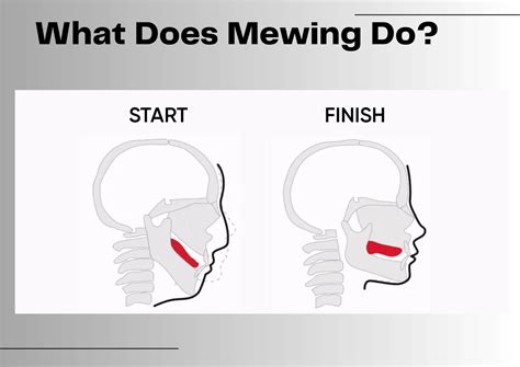 The Benefits of Mewing: What Does Mewing Really Do?