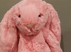 Image result for Pink Stuffed Bunny