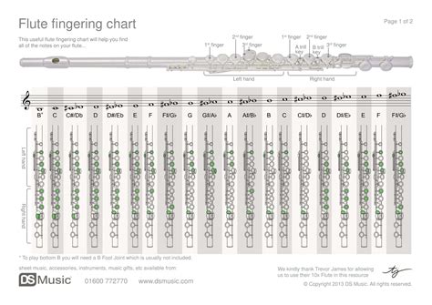Free Printable Flute Fingering Charts [PDF] High Notes For Beginners