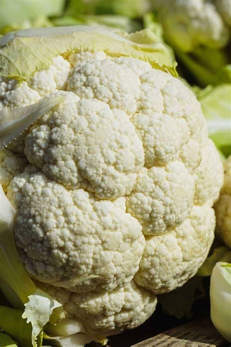 35 White Vegetables List (PICTURES + Names): The Ultimate List | The ...