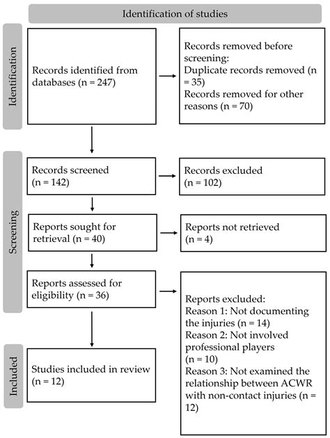 A Systematic Review on Utilizing the Acute to Chronic Workload Ratio ...