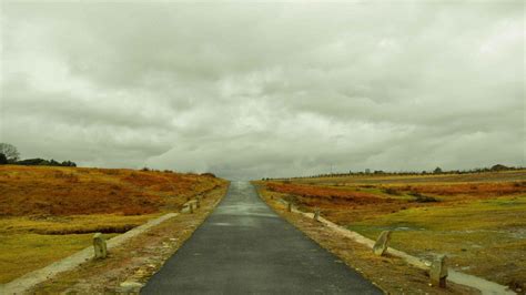 Sacred Forests of Mawphlang, Cherrapunjee | Incredible India