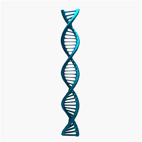 Dna Molecule 3D Models download - Free3D