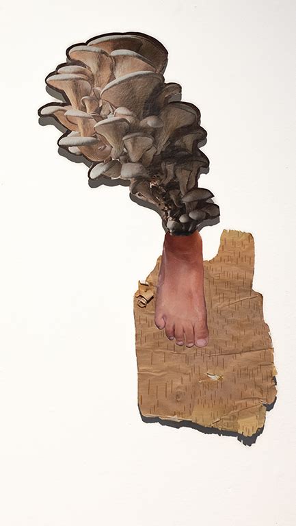 Image result for Meaning Imploding