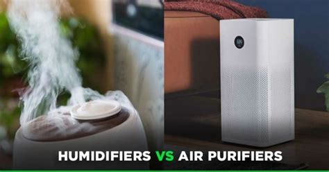 Are Air Purifiers Or Humidifiers More Effective For Cleaning The Air ...