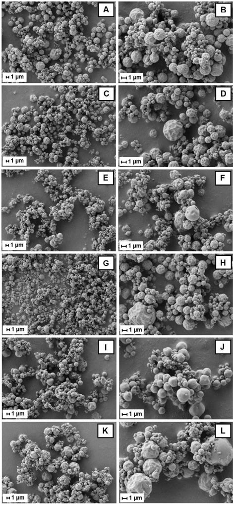 Spray-Drying Microencapsulation of Bauhinia ungulata L. var ...