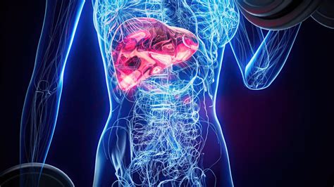 Early Signs of Liver Disease You Should Never Ignore