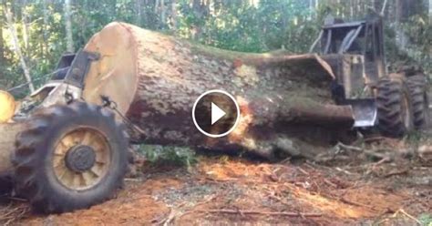 Logging Tree Fails Compilation 的图像结果