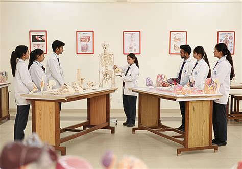 B.Sc. in Medical Radiography & Imaging Technology (BMRIT) - Uttaranchal ...