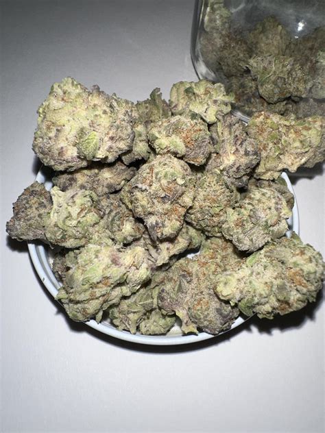 Durban Poison & King Louis : r/CultoftheFranklin