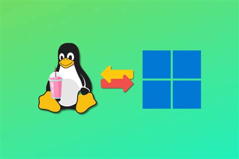 Image result for Data Windows Linux
