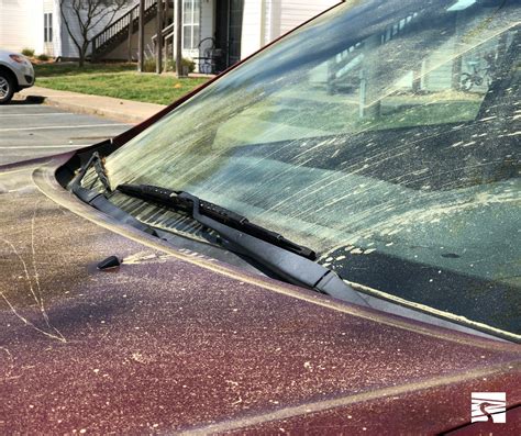 Fishing Point Healthcare (@fishingpointhealthcare) • Instagram photos ...