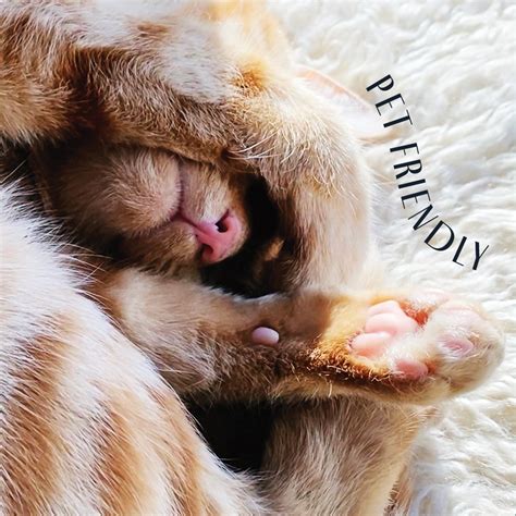 The Monde Scottsdale (@themondescottsdale) • Instagram photos and videos