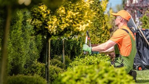 Image result for Landscape Contractor