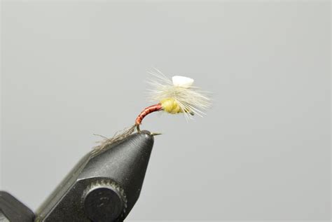 PMD Emerger Fly Pattern 的图像结果