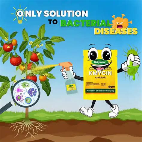 Buy Katyayani KMYCIN | Streptomycin Sulphate 90% + Tetracycline ...