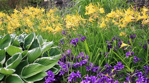 Planting a Diverse Perennial Garden - Millcreek Gardens