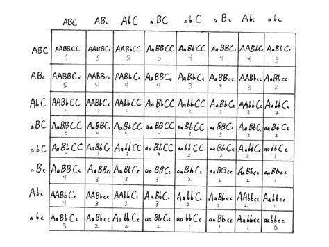 In a plant, three dominant independently assorting genes A, B and C are ...