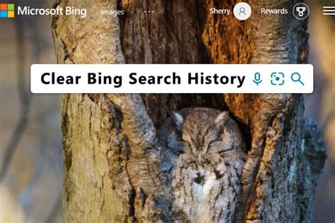Bing Search Engine History 的图像结果