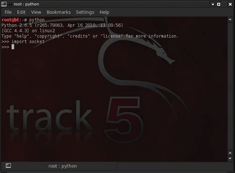 Image result for TCP Connection Server and Port in Python