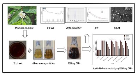 Green Synthesis and Characterization of Silver Nanoparticles of Psidium ...