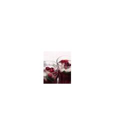 soupe de chagne sans cointreau mojito de no 235 l aux cranberries not parisienne soupe de chagne sans cointreau mojito de no 235 l aux cranberries not parisienne