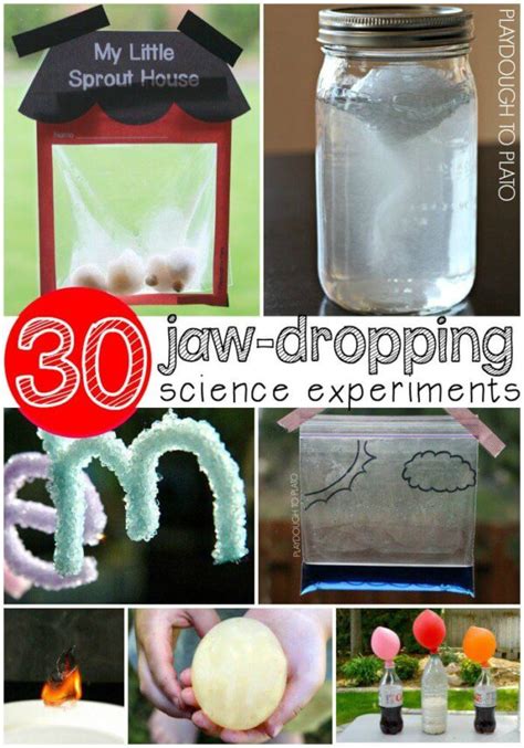 Image result for Fun Science Projects