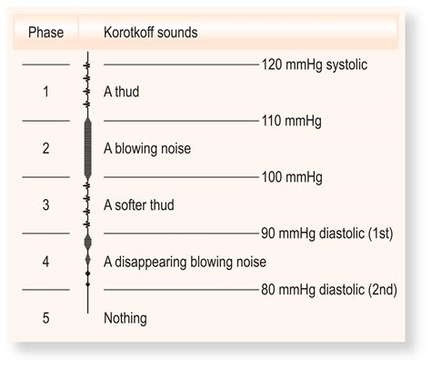 Phases Of Korotkoff Sounds