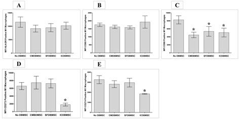 Decidua Basalis Mesenchymal Stem Cells Favor Inflammatory M1 Macrophage ...