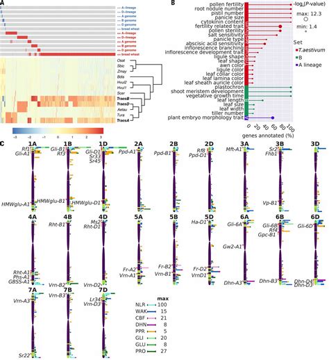 Shifting the limits in wheat research and breeding using a fully annotated reference genome ...