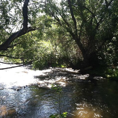 Lair O' the Bear Park (Morrison): All You Need to Know