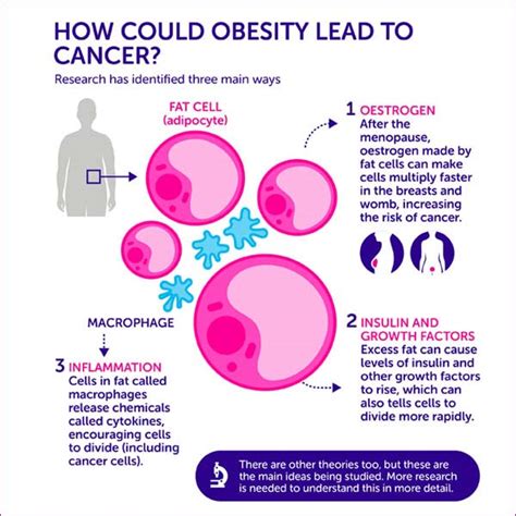 Causes Of Cancer | Geetanjali Cancer Centre | Cancer Hospital Udaipur