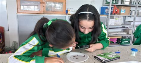 Definidos ganadores del concurso de Proyectos Ambientales Escolares ...