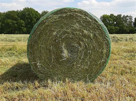Heu Verkauf | Reitanlage & Heu Verkauf Fockenberg | Bottrop-Kirchhellen
