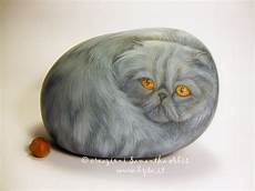 gatto persiani ritratti di animali bysa dipingere un gatto persiano gatto persiani ritratti di animali bysa dipingere un gatto persiano