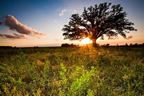Clark Funeral Home | Hawkinsville, GA