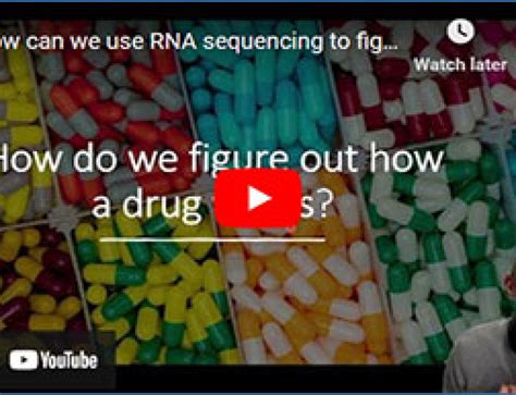 RNA-Seq Analysis Tutorial 的图像结果