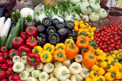 Program Mgmt 的图像结果