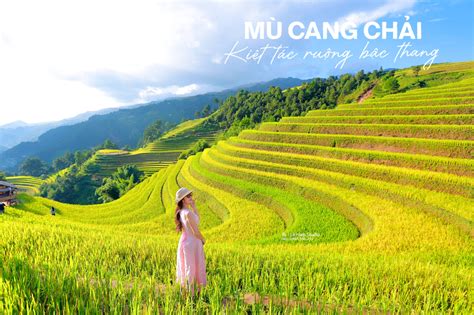 Linh Song 的图像结果