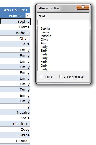 Image result for VBA Filter ListBox