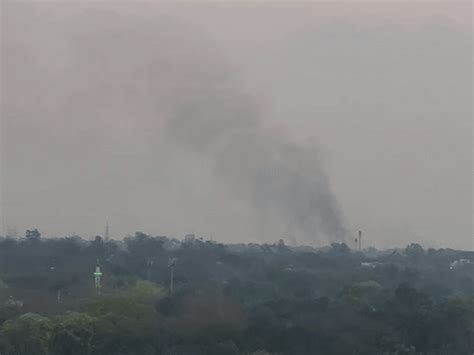 Fire breaks out in forest near Bhopal's Kaliyasot Dam: 15 fire engines ...