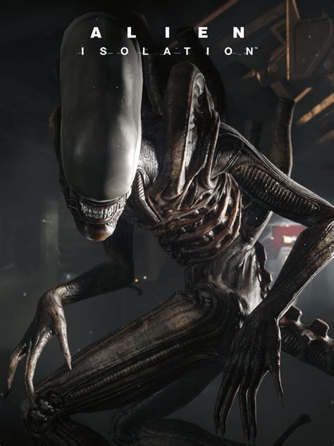 Image result for Alien Isolation Set