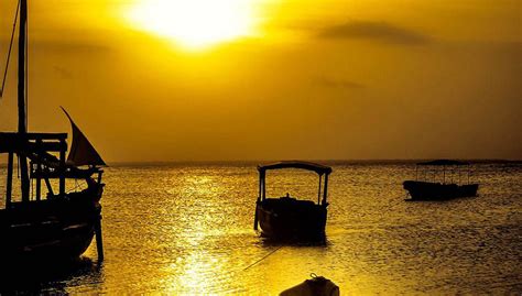 Paseo en dhow: La Ciudad de Piedra de Zanzíbar desde el océano ...