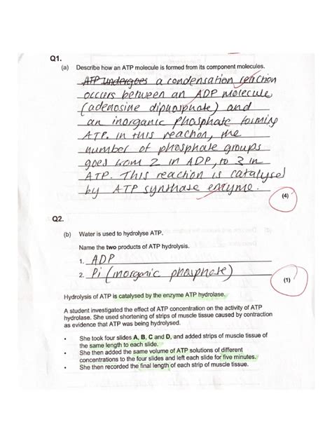 Image result for ATP Study Guide