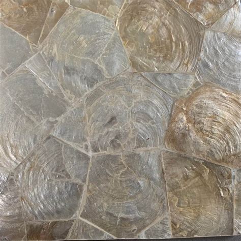 Sea Shell Capiz Palawan - Lost Cowboys